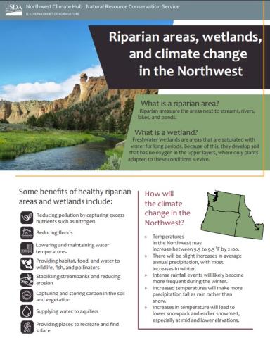 screenshot of the first page of NW Riparian areas and wetlands factsheet