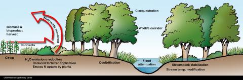 a graphic of benefits riparian areas provide