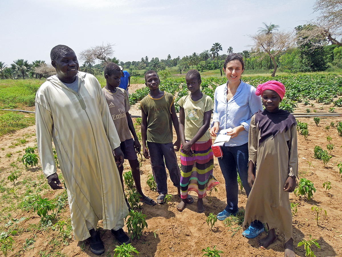 Rachel Schattman and Farmer Galaye Samb with helpers on his farm in Theis, Senegal.
