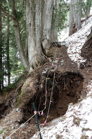 A trail washout at Mount Rainier National Park. Photo by the DOI National Park Service.