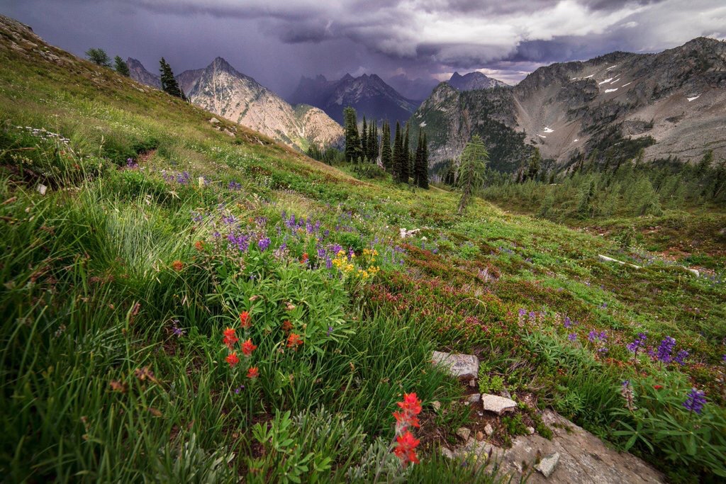 close-range shot of a green hill with red, purple, and yellow flowers. In the background are several pointy mountains. Above, the sky is covered in dark rainclouds and rain is beginning to fall