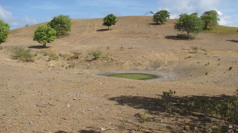 Dry grass and low water in ponds.