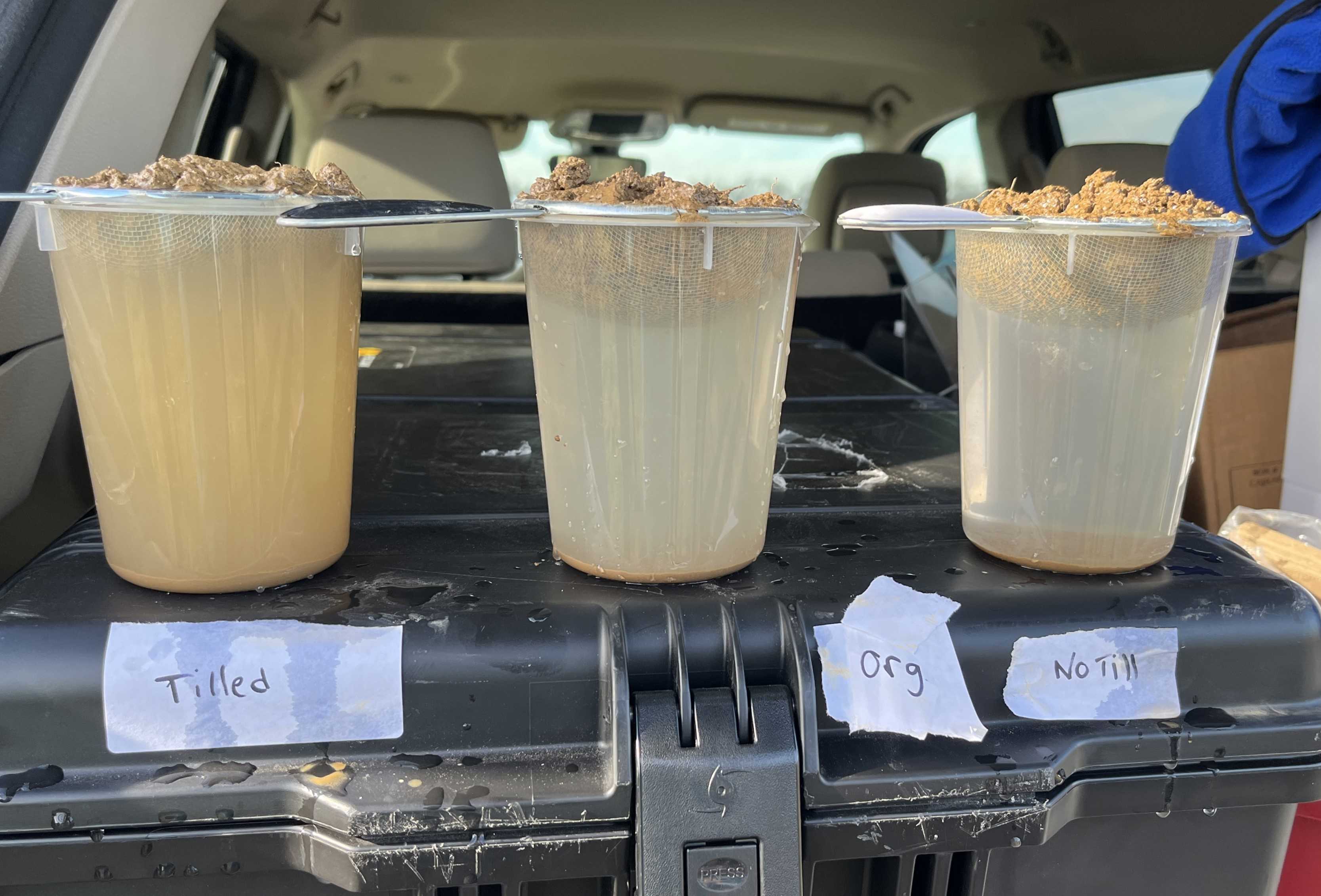 Results of the slump or strainer test.  Soils from three different management systems (left to right: tilled conventional, tilled organic, and no-till) were put in a kitchen strainer and placed in water.  The cloudier the water, the less aggregate stability.  