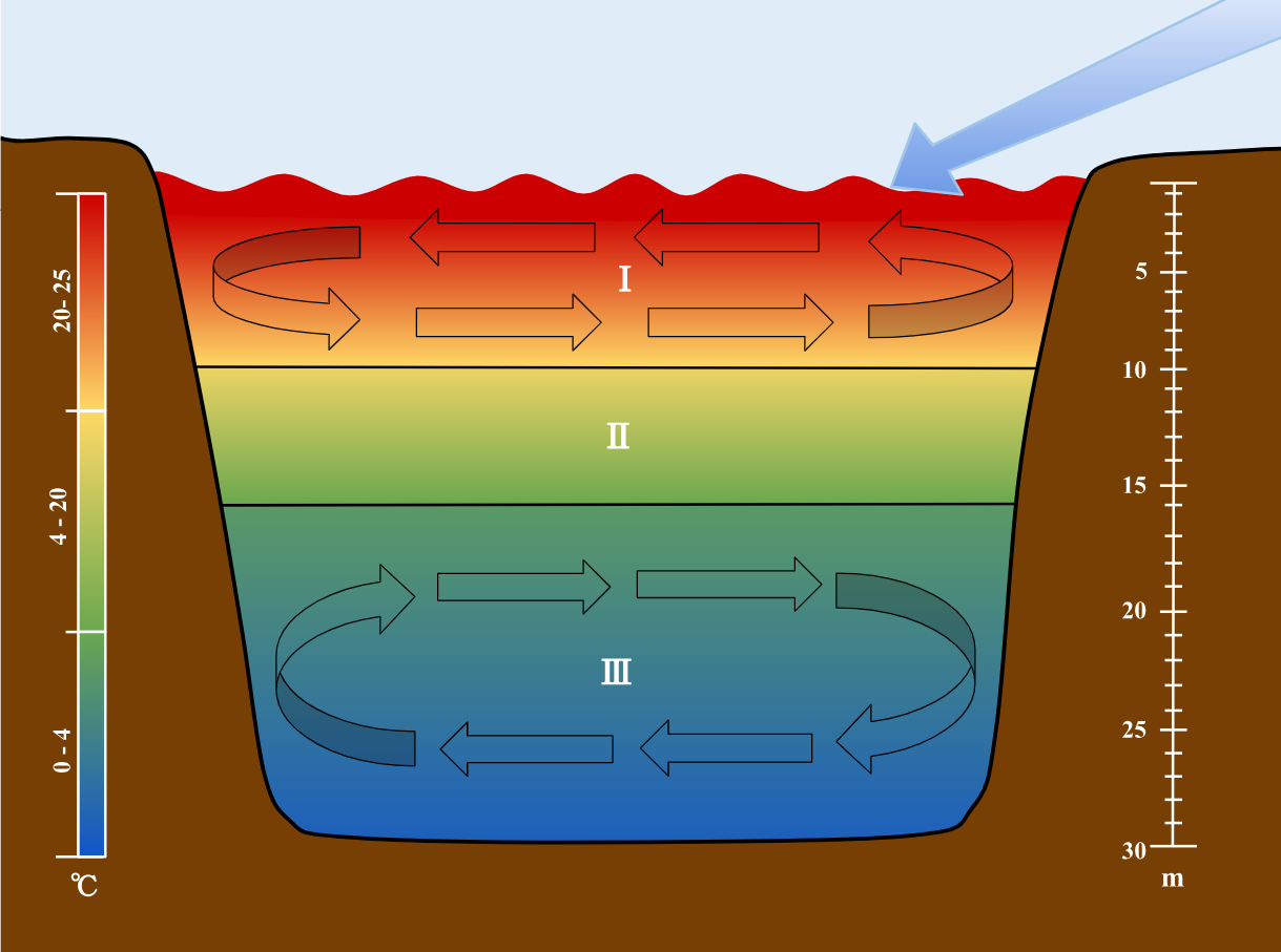 Stratification is the separation of ocean water into horizontal bands based on density, with warmer, less salty water remaining on top. 