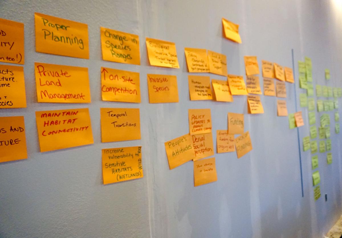 sticky notes on a wall outlining the planning process