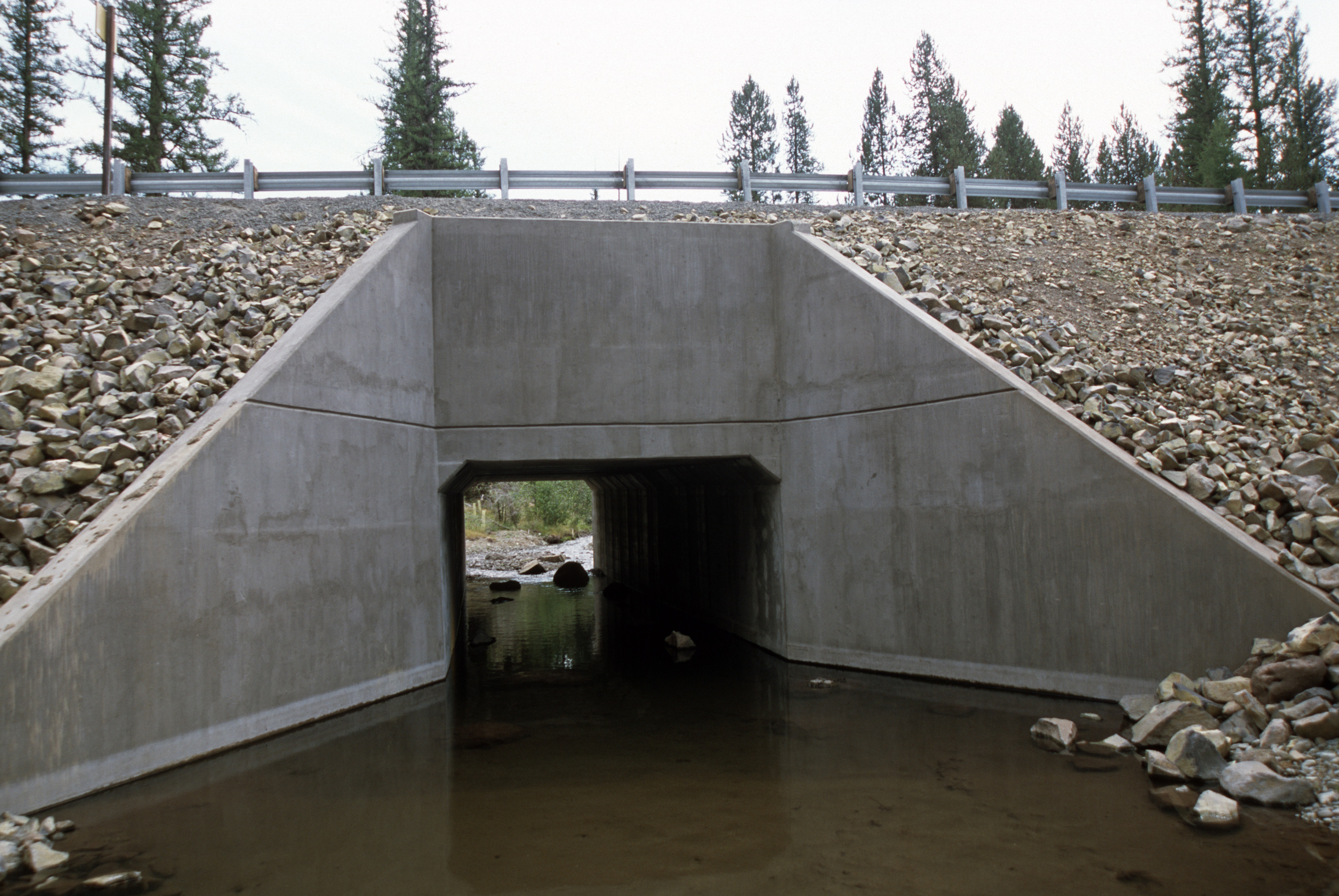 A stream restoration project on Malheur National Forest, Oregon.