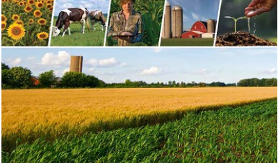 Adaptation Resources for Agriculture