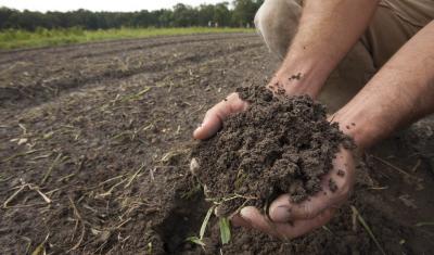 A farmer holds a handful of healthy soil