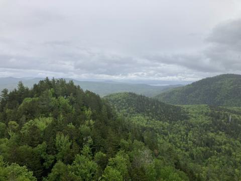 Green forested mountains with clouds