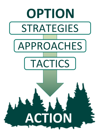 Diagram of describing the linkages between strategy, approach, and tactics with arrows pointing down.