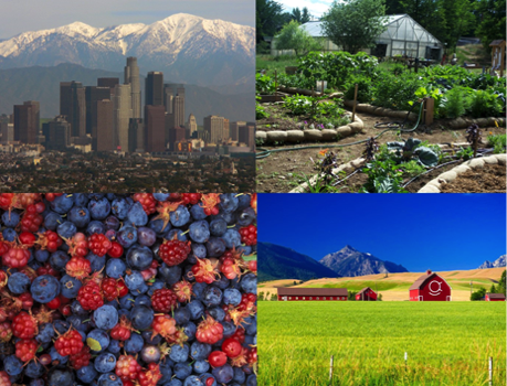 The Los Angeles, California skyline set against the San Gabriel Mountains in the background; Pacific Southwest Region 5 People’s Garden Peoples garden of the Yreka Community; Alaska wild berries from the Innoko National Wildlife Refuge; Red barns and Mountains