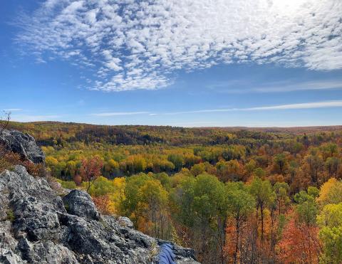 View from a rock of fall colored trees
