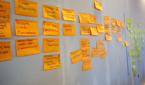 sticky notes on a wall outlining the planning process
